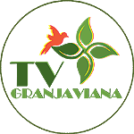TV Granja Viana