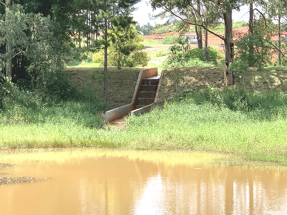 Regularização de Barramento